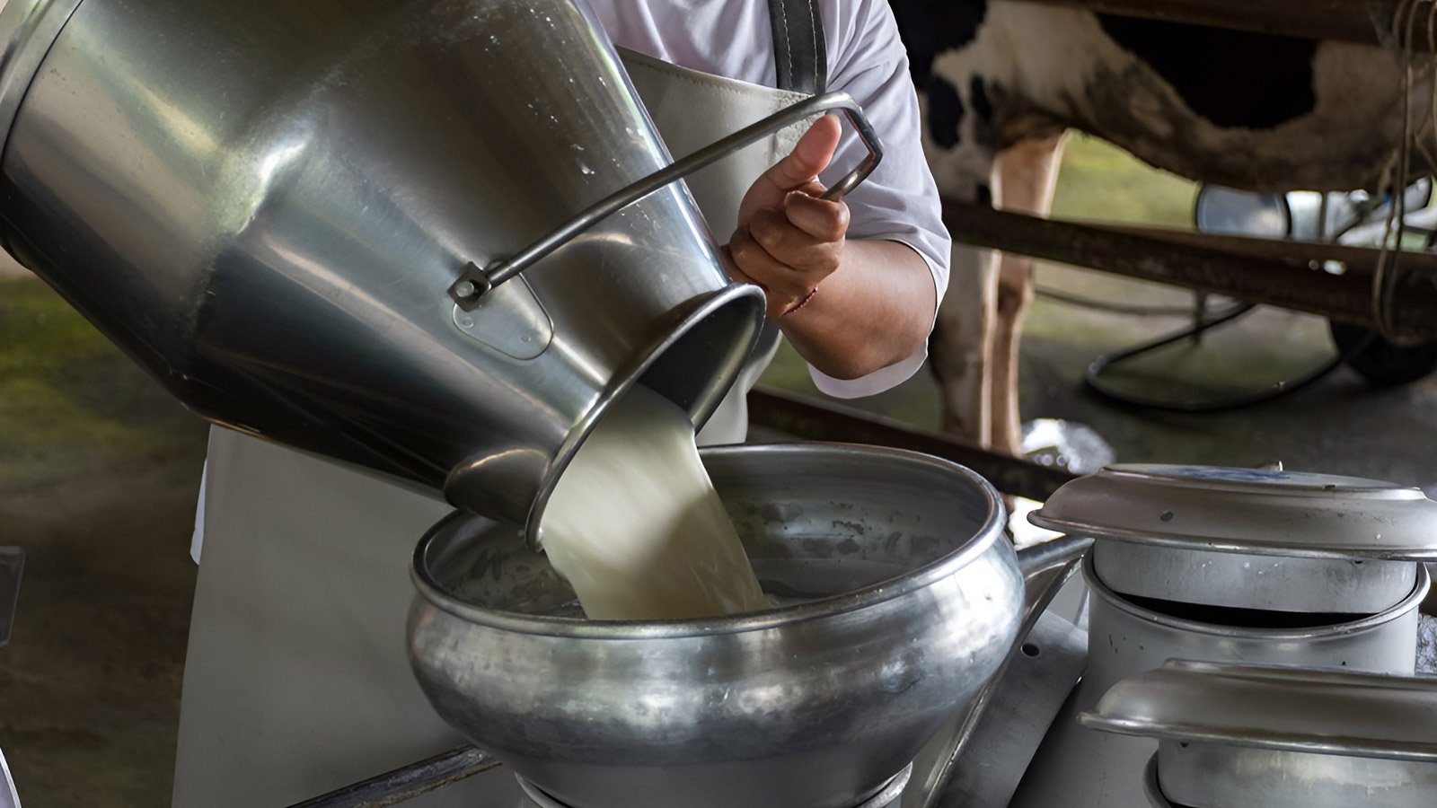 customer testimonials why families in mumbai trust bhajanlal dairy