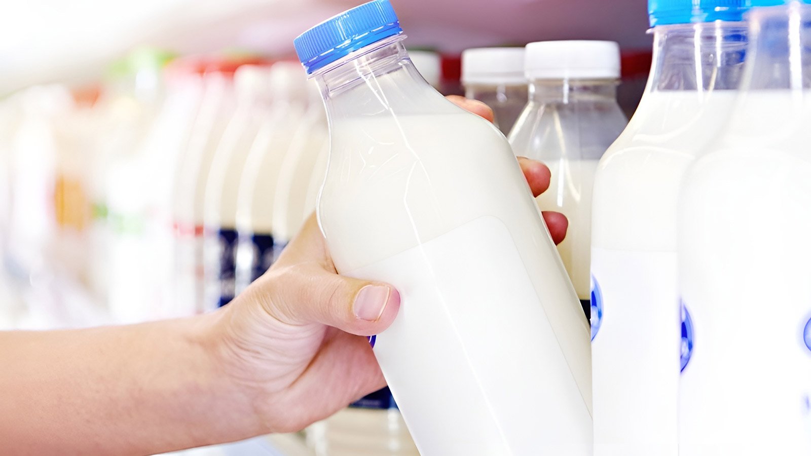 find fresh local milk in mumbai bhajanlal dairy store locator